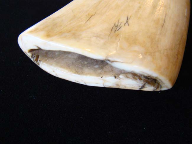 A wonderful 19th century scrimshawed Sperm Whale's Tooth with Shipwreck scene — image 5